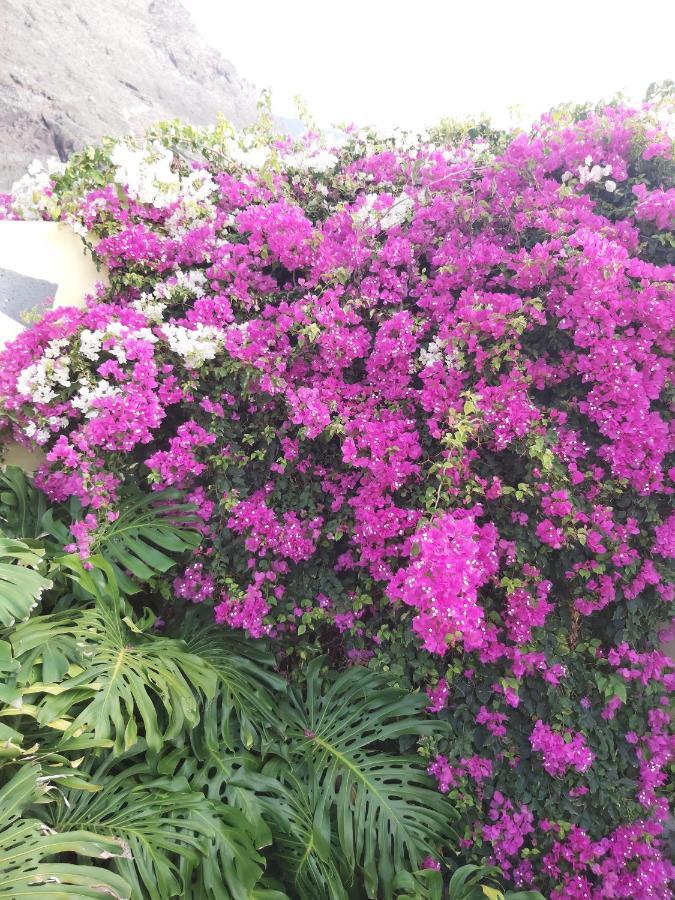 Mi Jardin Villa Frontera Buitenkant foto
