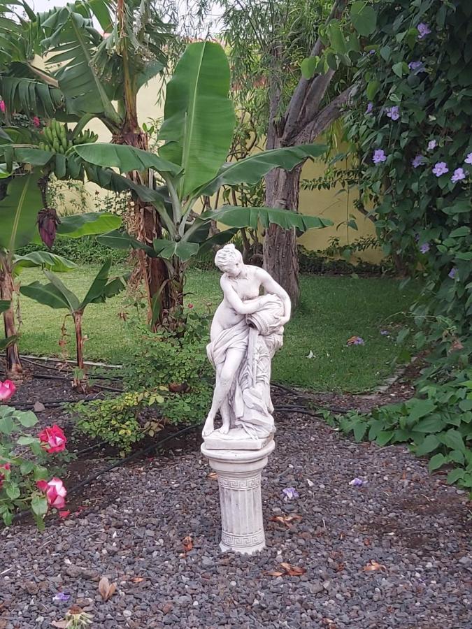 Mi Jardin Villa Frontera Buitenkant foto