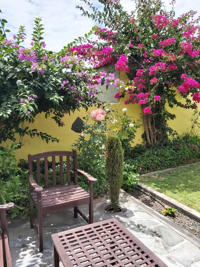Mi Jardin Villa Frontera Buitenkant foto