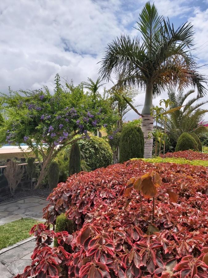 Mi Jardin Villa Frontera Buitenkant foto