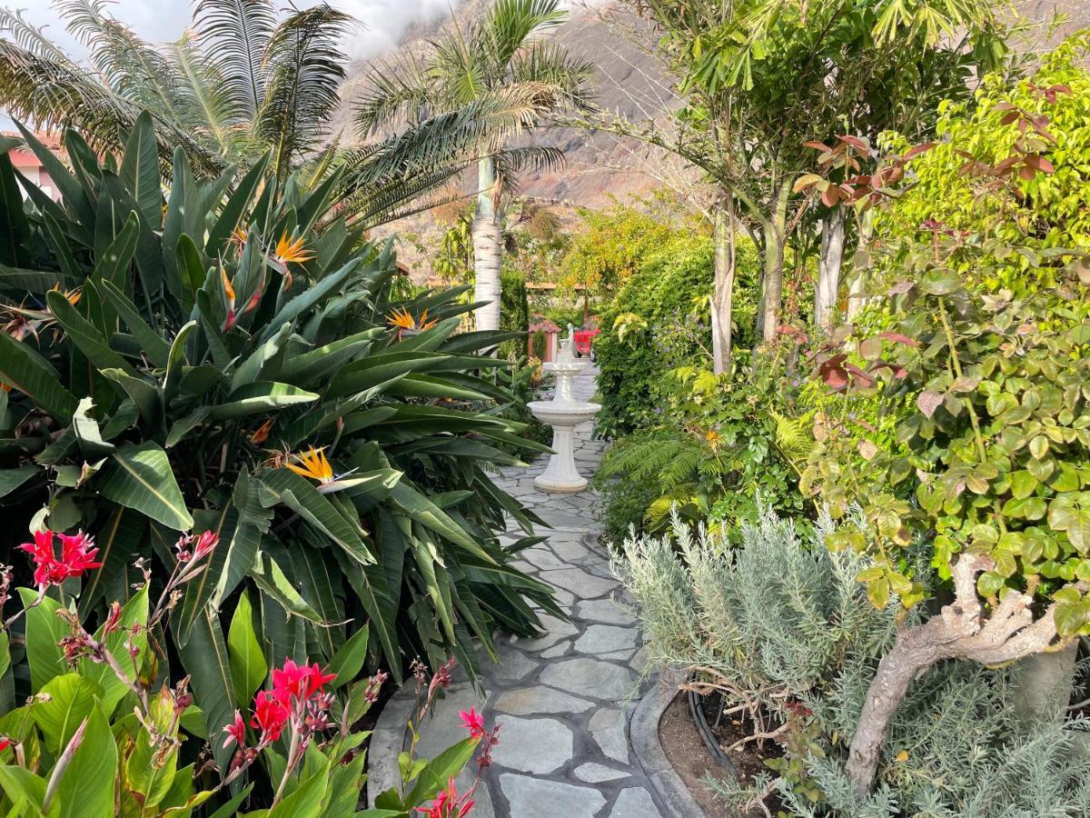 Mi Jardin Villa Frontera Buitenkant foto