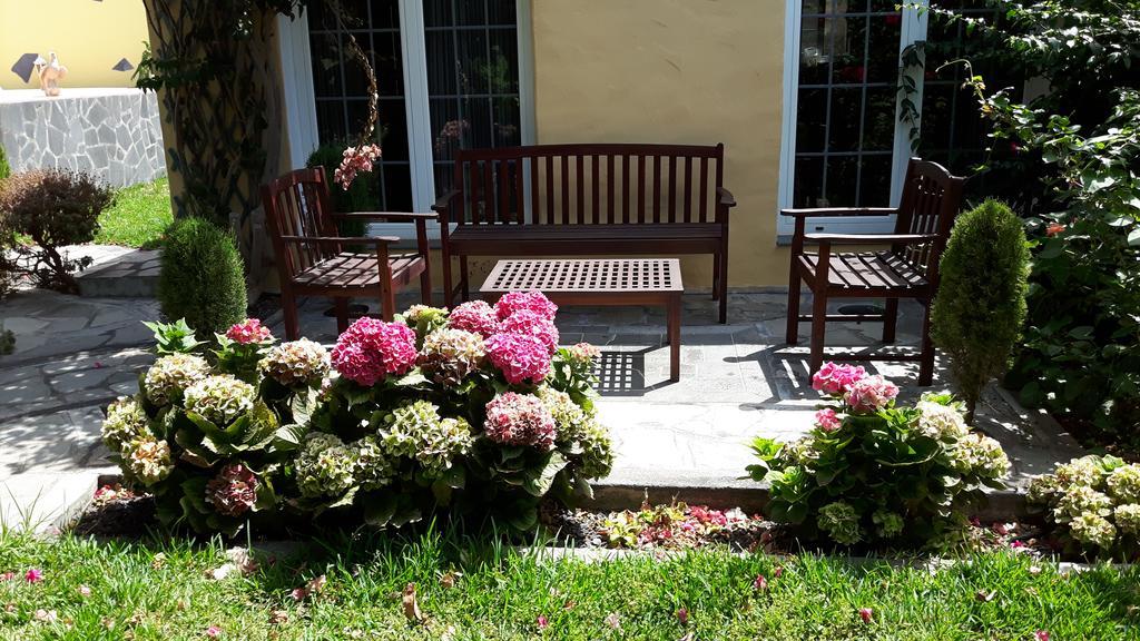 Mi Jardin Villa Frontera Buitenkant foto
