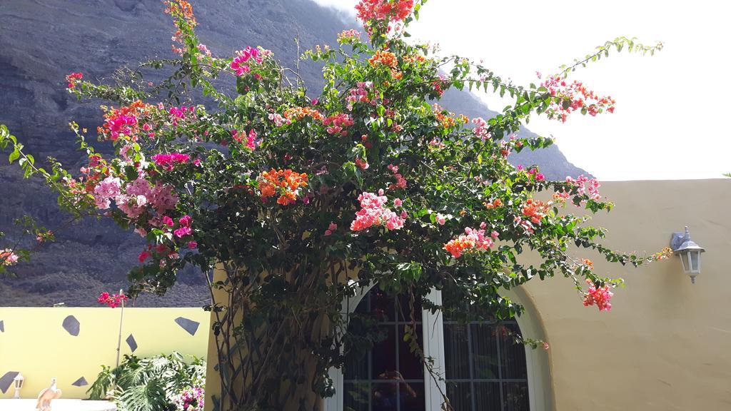 Mi Jardin Villa Frontera Buitenkant foto