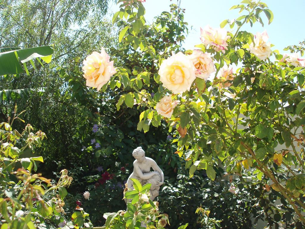 Mi Jardin Villa Frontera Buitenkant foto